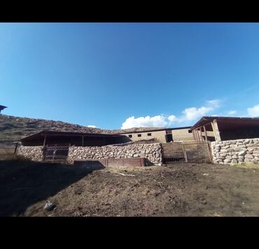 Другие товары для дома и сада: Продается действующий бизнес кашар вместе с садом для разведения скота — 9