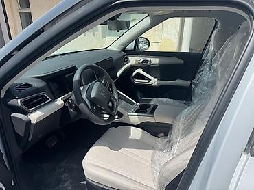 BYD: BYD : 2025 г., 0.1 л, Робот, Электромобиль, Кроссовер — 12