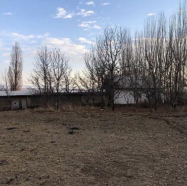 Продажа сельхоз предприятий: Продаётся сельскохозяйственный участок с хозпостройками. - — 6