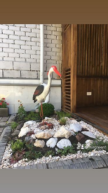 Уборка территории: Уборка территории, Стрижка газона — 5