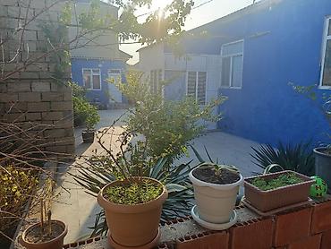 kiraye ile satilan evler: 4 otaqlı, 2 kv. m, Kredit yoxdur, Orta təmir — 8