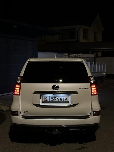 Lexus: Lexus GX: 2020 г., Внедорожник — 5