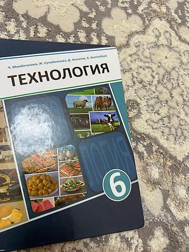 Учебники: Кыргызский язык, 6 класс, Б/у, Самовывоз — 7