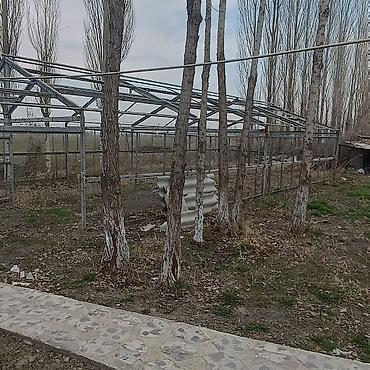 Продажа коттеджей и домов: Дом/участок с готовыми коммуникациями и хозяйственными постройками - — 5