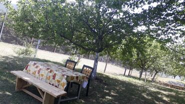 Bağ evlərinin kirayəsi: 200 kv. m, 5 otaqlı, Hovuzlu, Telefon, İnternet, İşıq -da lalafo.az — 11 Bağ evlərinin kirayəsi: 200 kv. m, 5 otaqlı, Hovuzlu, Telefon, İnternet, İşıq — 11