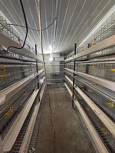 Продажа коттеджей и домов: Продается 5 комн дом Площадь дома 150м2 площадь участка 0,056га at lalafo.kg — 15 Продажа коттеджей и домов: Продается 5 комн дом Площадь дома 150м2 площадь участка 0,056га — 15