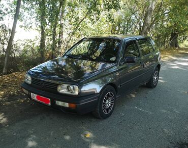 шины 16 зимный: Volkswagen Golf: 1995 г., 1.8 л, Автомат, Бензин, Хетчбек