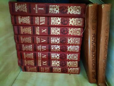 informatika kitab: Ensiklopediyalar