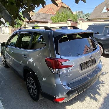 Subaru: Subaru Forester: 2020 г., 2.5 л, Вариатор, Бензин, Кроссовер — 4