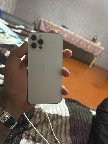 telefon akse: IPhone 12 Pro, Gümüşü, Face ID