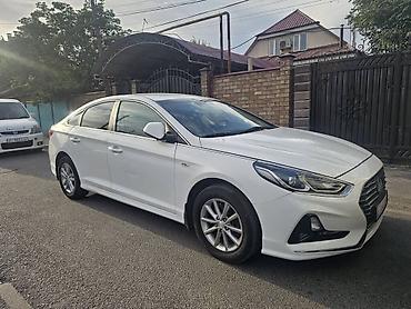 соната жёлтый: Hyundai Sonata: 2019 г., 2 л, Автомат, Газ, Седан — 1