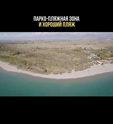 bay tash: 500 соток, Для бизнеса — 2