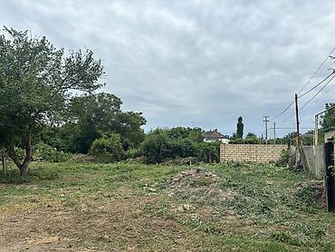 Torpaq sahələrinin satışı: 24 sot — 10