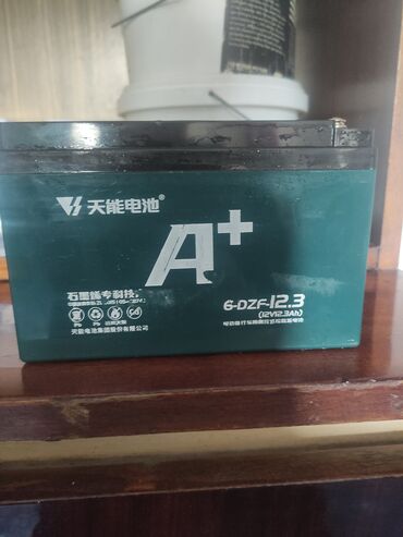 электронные амортизаторы: Аккумуляторная батарея TianNeng A+ 6-DZF-12.3 - Тип