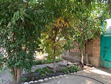 Продажа коттеджей и домов: 🏡 Продается дом в селе Чалдовар, Панфиловский район 📏 Участок – 11 — 13