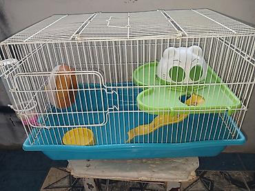 Heyvanlar: Hamster üçün tam dəst qəfəs uzunluqu 55 sm hündürlük 45 sm eni 30 sm — 6