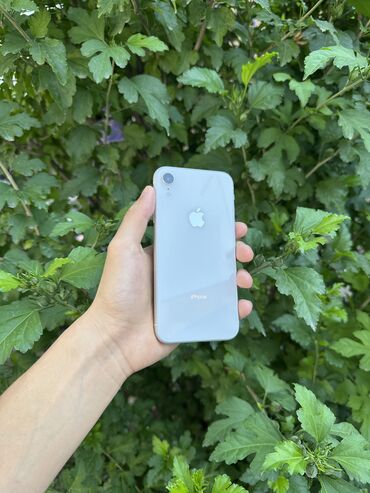 золото номер: IPhone Xr, Жаңы, 64 ГБ, Ак, 78 %