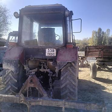 belarus mtz 80: Тракторы МТЗ «Беларус» — два экземпляра - Модельный ряд: МТЗ/Беларус — 3
