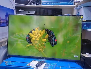 4k: Телевизор LG 50’ 4K VA, ThinQ AI, WebOS 5.0, AI Sound, Ultra Surround — 5