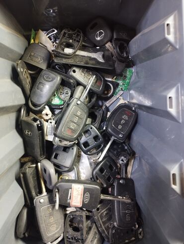 СТО, ремонт транспорта: Компьютерная диагностика, Регулировка, адаптация систем автомобиля, с выездом — 15