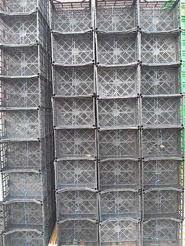 картон: Məhsul: Plastik tərəvəz-meyvə yeşikləri və karton qutular Təsvir: - — 3