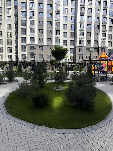скарификатор: Профессиональное озеленение под ключ Автополив любой сложности Что — 7