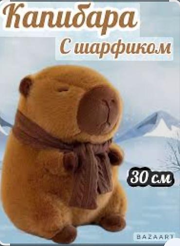 женщина кошка: Капибара — 1