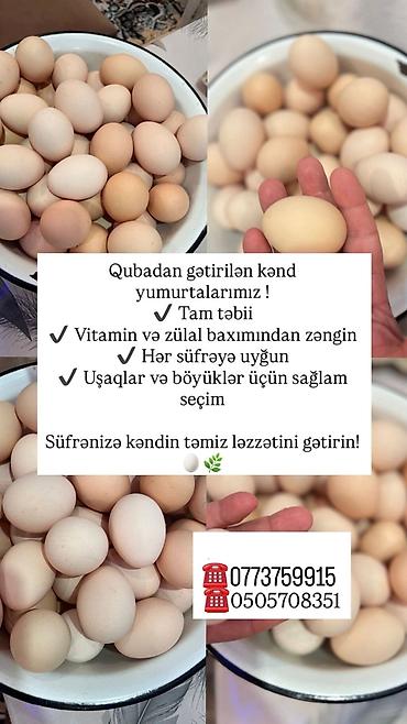 et xengeli: Kənd toyuğu Toyuq Bütöv, Pərakəndə, Ödənişli çatdırılma — 4