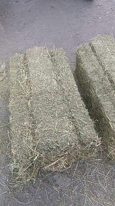 Тракторы МТЗ (Беларус): Модель: 80, Б/у, 1980 г., С пресс-подборщиком — 8