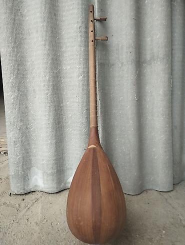 elektrik velo: Saz – 3 mizrablı, uzun qol, armud formalı korpusa malik xalq çalğı — 3