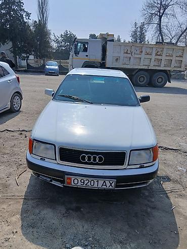 Audi: Audi 100: 1992 г., Седан — 1