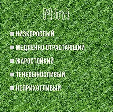 манеж для игр: Газонные травосмеси для декоративных газонов, спортивных и детских — 6