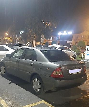 зеркало левая сторона тайота каролла: Toyota Corolla: 2005 г., Механика, Бензин, Седан — 3