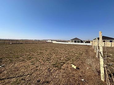 Torpaq sahələrinin satışı: 8 sot, Tikinti, Mülkiyyətçi, Kupça (Çıxarış) -da lalafo.az — 6 Torpaq sahələrinin satışı: 8 sot, Tikinti, Mülkiyyətçi, Kupça (Çıxarış) — 6