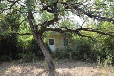 Torpaq sahələrinin satışı: 2000 sot, Tikinti, Mülkiyyətçi, Kupça (Çıxarış), Bələdiyyə -da lalafo.az — 28 Torpaq sahələrinin satışı: 2000 sot, Tikinti, Mülkiyyətçi, Kupça (Çıxarış), Bələdiyyə — 28