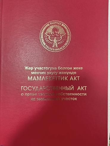 в манасе: 423 соток, Тех паспорт — 1
