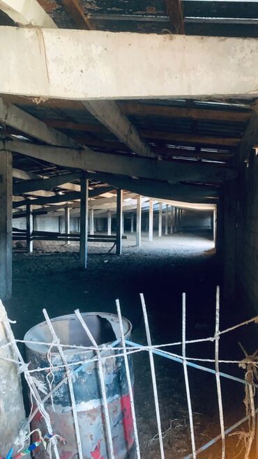 Сельхоз предприятия: Продаю Кошара, 41 соток, Действующий, Холодная вода, Электричество — 6