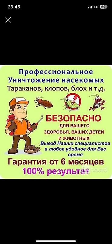 калыб: Профессиональные услуги по дезинфекции, дезинсекции и дератизации — 2