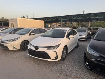 тайота карола 2022: Toyota Corolla: 2019 г., 1.8 л, Вариатор, Гибрид, Седан