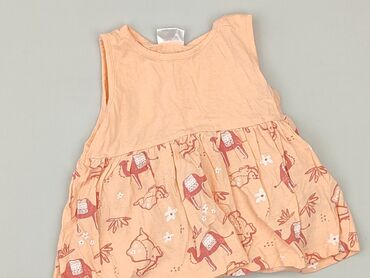 lidl bielizna esmara: Сукня, So cute, 9-12 міс., стан - Ідеальний на lalafo.pl lidl bielizna esmara: Сукня, So cute, 9-12 міс., стан - Ідеальний