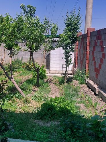 Продажа домов: Дом, 200 м², 7 комнат, Собственник — 9