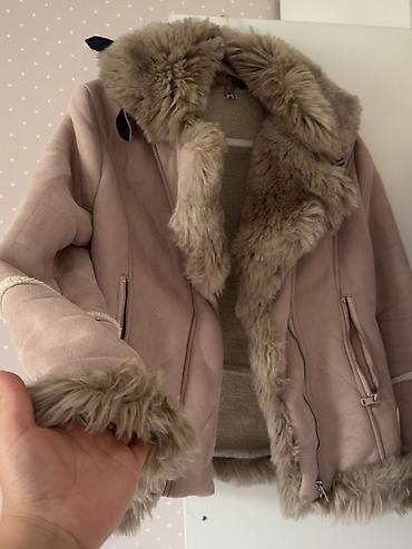 Женская одежда: Дубленка, Авиатор, Короткая модель, XS, M — 2