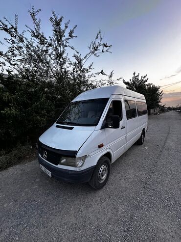 диск сцепления спринтер: Mercedes-Benz Спринтер: 1999 г., 2.9 л, Механика, Дизель, Бус