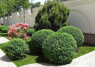 Уборка территории: Уборка территории, Уборка двора и сада, Стрижка газона, Уход за деревьями — 9