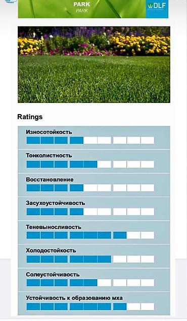 Газон: Семена европейского газона DLF (Дания) по оптовым ценам! ✅В наличии — 6