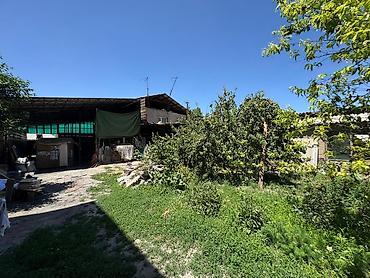 Продажа коттеджей и домов: 🏡 Продаю! Кирпичный дом 210 м² на большом участке 9,5 сот – 157 000 — 3