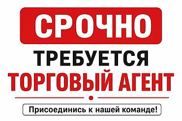 Требуется Торговый агент, График: Шестидневка, Без опыта, % от продаж, Полный рабочий день