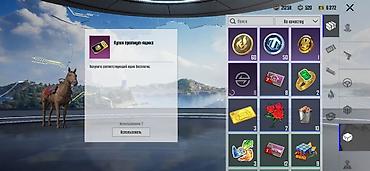 Digər aksesuarlar: 🎮 PUBG MOBILE HESABI SATILIR! 🚀 Salam, dostlar! PUBG Mobile hesabımı — 30