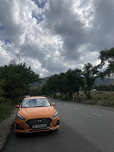 помпо соната: Hyundai Sonata: 2018 г., 2 л, Автомат, Газ, Седан — 1