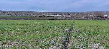 Torpaq sahələrinin satışı: 200 sot, Kənd təsərrüfatı — 10